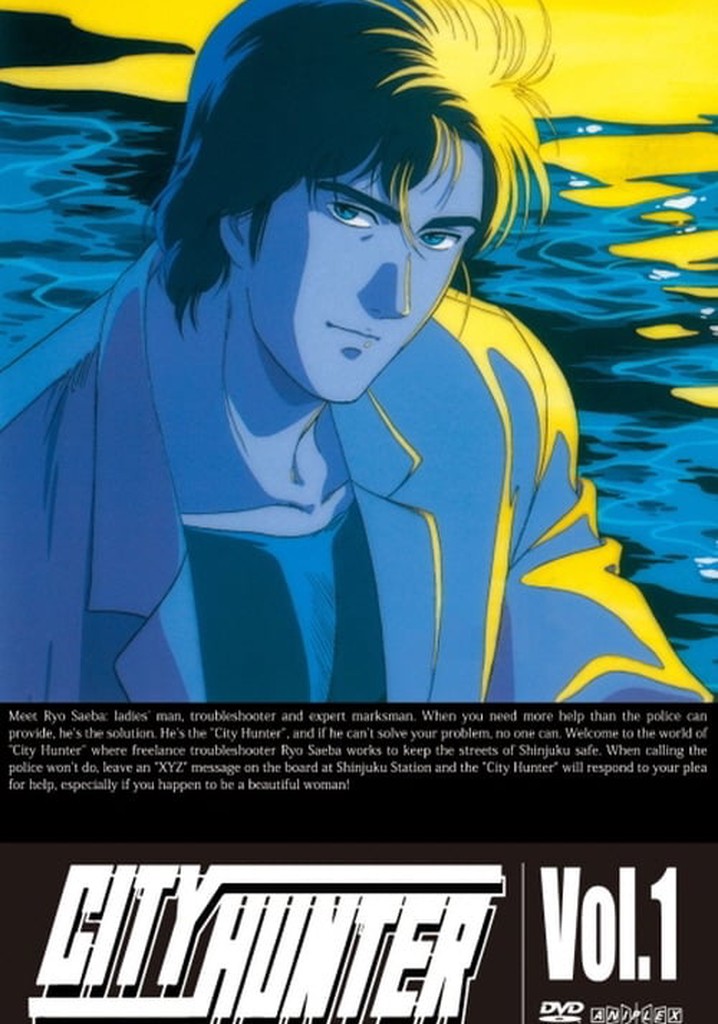 City Hunter Ver la serie online completas en español